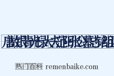 唐故银青光禄大夫范阳张公墓志铭组词是什么意思的图片